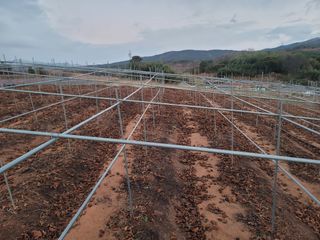 이용찬 열매마농원님의 기타작물 · 영농일지 작성글 사진