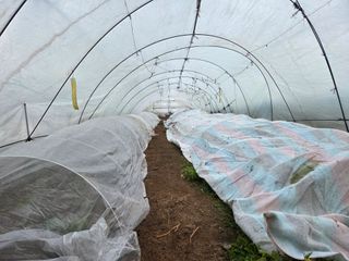 김윤회님의 기타작물 · 영농일지 작성글 사진