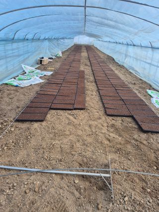 병풍취산채농원님의 기타작물 · 영농일지 작성글 사진