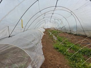 김윤회님의 기타작물 · 영농일지 작성글 사진