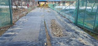 박상중님의 기타작물 · 영농일지 작성글 사진