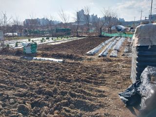 상추20832님의 기타작물 · 영농일지 작성글 사진
