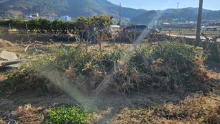 옥재벌님의 기타작물 · 영농일지 작성글 사진