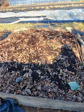 땅콩맘님의 기타작물 · 영농일지 작성글 사진