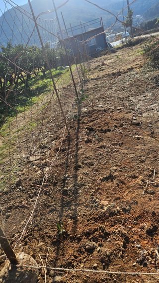 옥재벌님의 기타작물 · 영농일지 작성글 사진