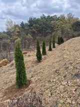 팜모닝 기타작물·영농일지 게시글 이미지