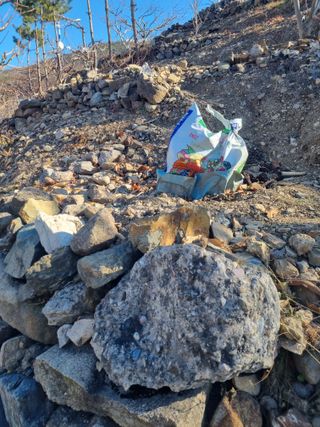 김용대님의 기타작물 · 영농일지 작성글 사진