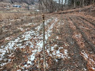 김홍중님의 작성글 사진