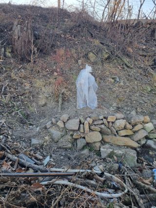 김용대님의 기타작물 · 영농일지 작성글 사진