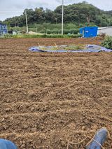 팜모닝 기타작물·영농일지 게시글 이미지