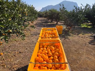 산방자연농원님의 작성글 사진