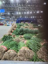 김저팔계님의 작성글 사진