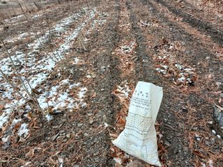 김홍중님의 두릅 · 영농일지 작성글 사진