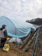 팜모닝 기타작물·영농일지 게시글 이미지