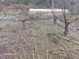 손길준님의 기타작물 · 영농일지 작성글 사진