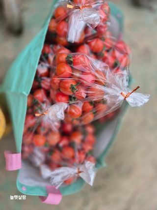 늘햇살팜 님의 기타작물 · 영농일지 작성글 사진