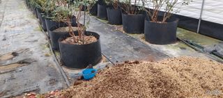 류근택님의 작성글 사진