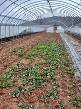 최유순님의 작성글 사진