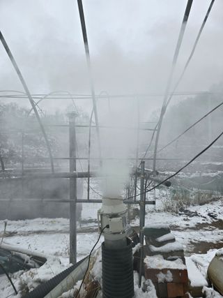 김종협님의 기타작물 · 영농일지 작성글 사진