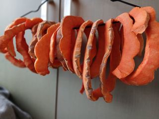 한상숙님의 호박 · 영농일지 작성글 사진