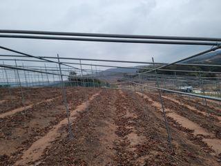 이용찬 열매마농원님의 기타작물 · 영농일지 작성글 사진