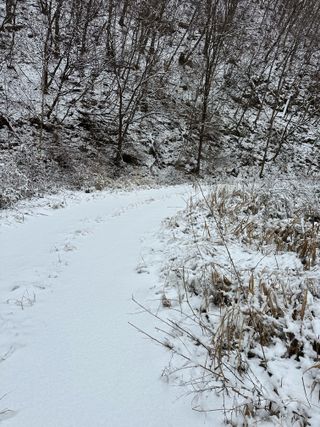 이익수님의 기타작물 · 영농일지 작성글 사진