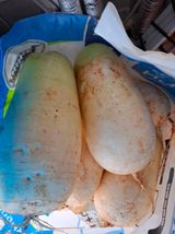 팜모닝 기타작물·영농일지 게시글 이미지