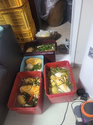 장명숙님의 기타작물 · 영농일지 작성글 사진