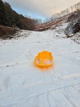 팜모닝 기타작물·영농일지 게시글 이미지