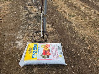 이흥식(청아농원)님의 사과 · 영농일지 작성글 사진