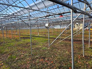 이만근님의 포도 · 영농일지 작성글 사진