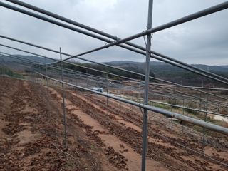 이용찬 열매마농원님의 기타작물 · 영농일지 작성글 사진