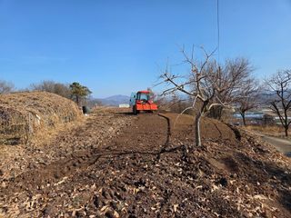 이만근님의 블루베리 · 영농일지 작성글 사진