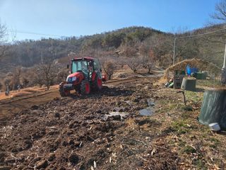 이만근님의 블루베리 · 영농일지 작성글 사진