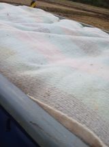 최유순님의 작성글 사진