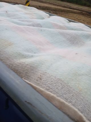 최유순님의 시금치 · 영농일지 작성글 사진