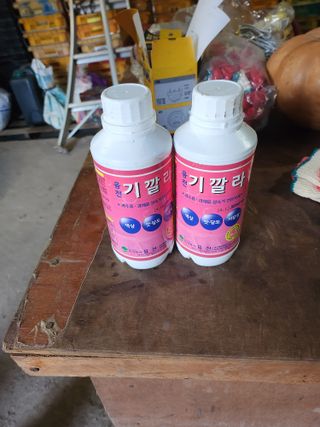 제주온님의 귤 · 영농일지 작성글 사진