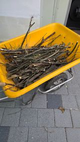 팜모닝 기타작물·영농일지 게시글 이미지