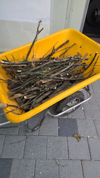 가야산아래촌농님의 기타작물 · 영농일지 작성글 사진