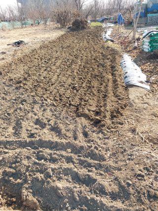 상추20832님의 기타작물 · 영농일지 작성글 사진