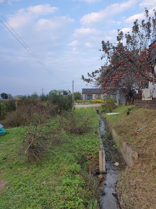 경포일출님의 기타작물 · 영농일지 작성글 사진