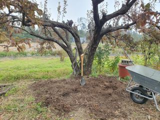 경포일출님의 기타작물 · 영농일지 작성글 사진