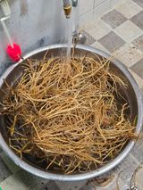 팜모닝 기타작물·영농일지 게시글 이미지