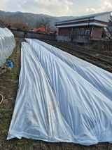 팜모닝 기타작물·영농일지 게시글 이미지