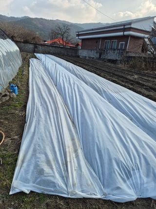 김찬수/대전님의 기타작물 · 영농일지 작성글 사진