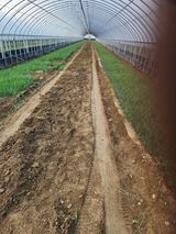 김저팔계님의 작성글 사진