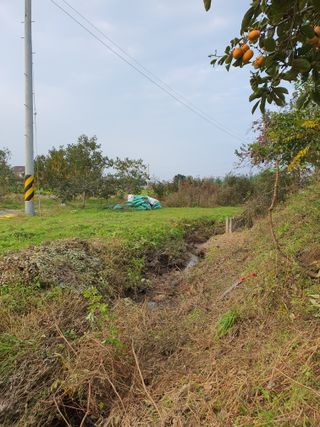 경포일출님의 기타작물 · 영농일지 작성글 사진