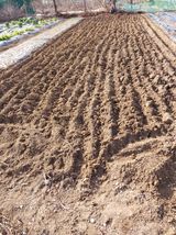 팜모닝 기타작물·영농일지 게시글 이미지