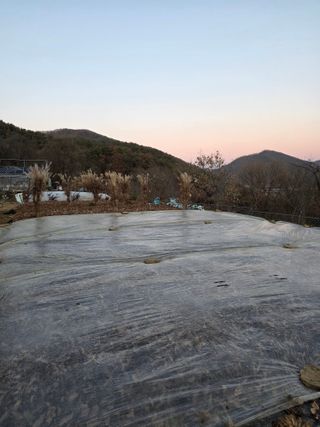 운길산님의 기타작물 · 영농일지 작성글 사진