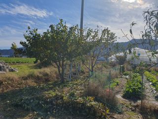 경포일출님의 기타작물 · 영농일지 작성글 사진